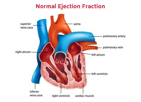 what is a normal ejection fraction with age